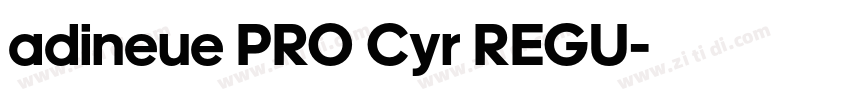adineue PRO Cyr REGU字体转换 adineue PRO Cyr REGU字体转换